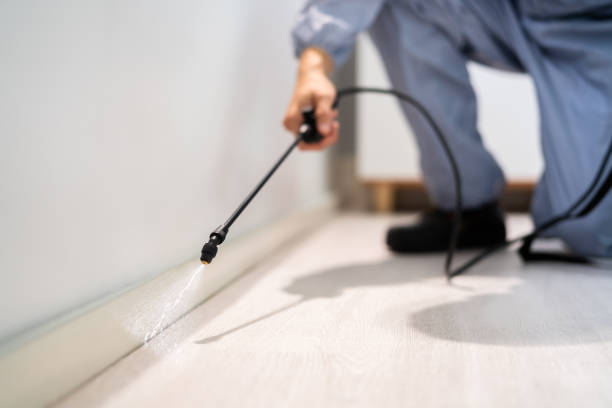 Licensed Pest Control service in Ramsey, MN - Show Me Pest Control