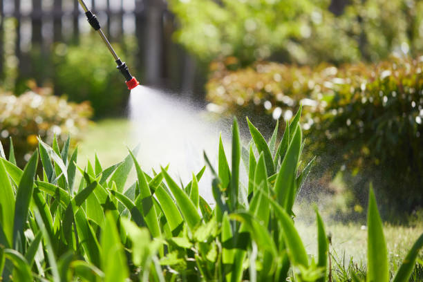Tamper-Resistant Bait Stations for Rodents in Ramsey