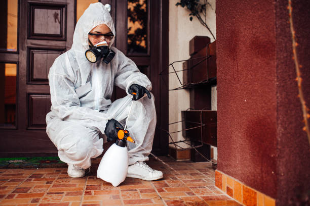 Attic and Crawl Space Rodent Treatment in Ramsey