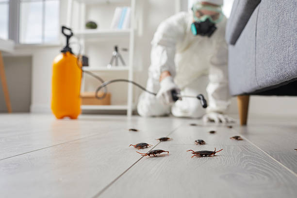 Commercial Rodent Management in Ramsey